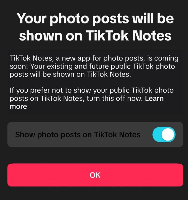 This image shows a screenshot of TikTok notification. — X/@heyalexfriedman