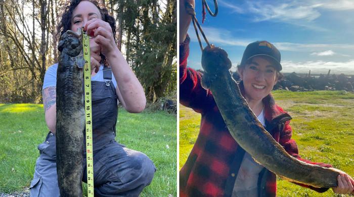 Strange-looking fish stuns woman in Oregon