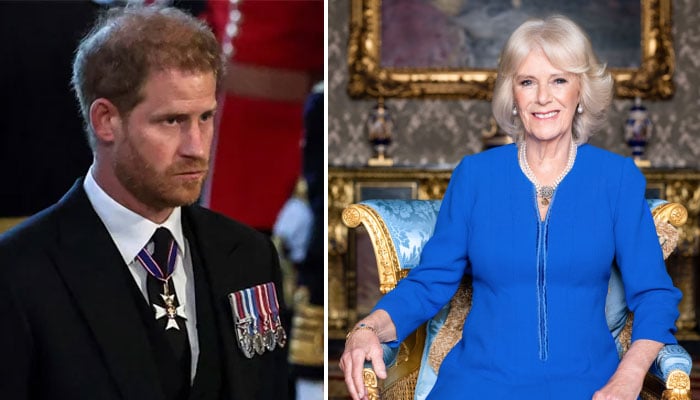 Queen Camilla son ‘sending a message to Prince Harry with new book