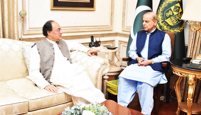 Finance Minister Muhammad Aurangzeb (left) meets Prime Minister Shehbaz Sharif on April 12, 2024. — APP