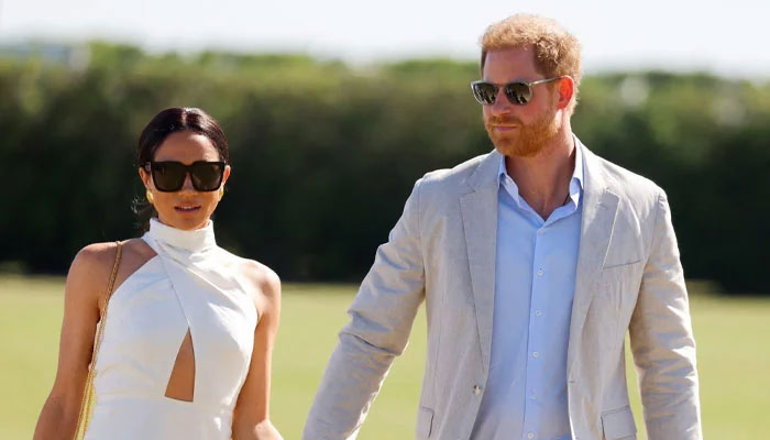 Meghan Markle, Prince Harry let slip truth of relationship