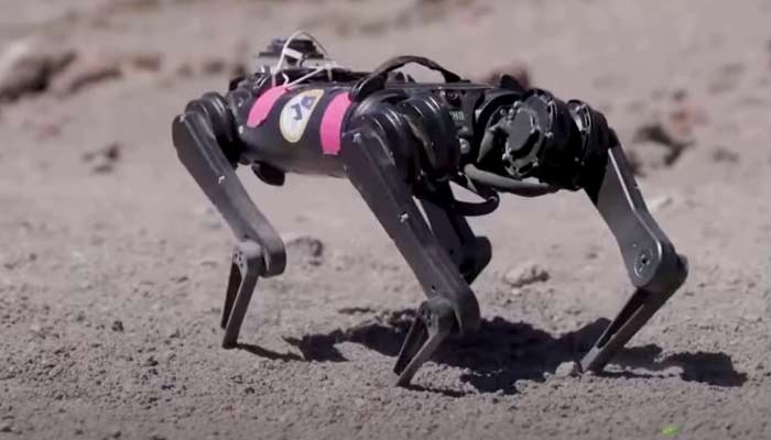 Robodog being trained to walk on moon. — Screengrab/YouTube/Reuters
