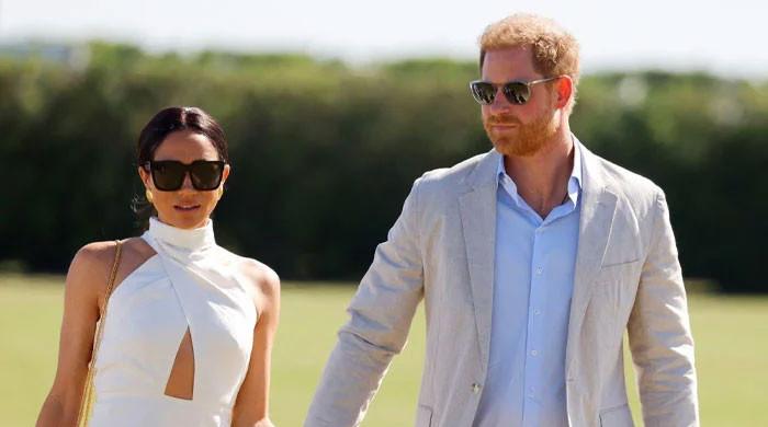 Meghan Markle and Prince Harry accidentally reveal the truth about their relationship