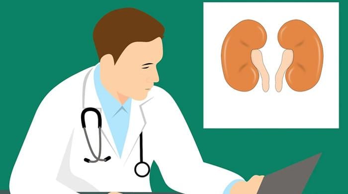 Find out if you are at a risk of having kidney stones