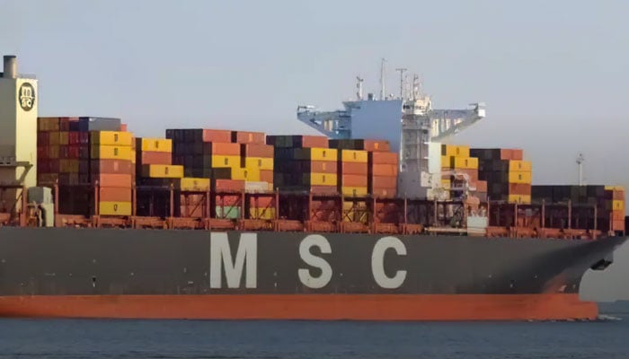 A view of the Portugal-flagged MSC Aries cargo ship. — Portugal News/File