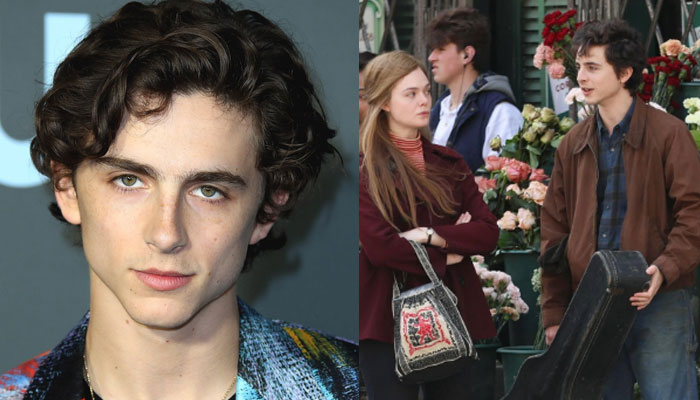 Timothee Chalamet embodies Bob Dylan during shoot