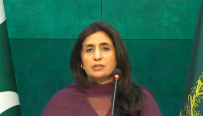 Foreign Office Spokesperson Mumtaz Zahra Baloch speaks during the weekly press briefing in this still taken on April 19, 2024. — X/@ForeignOfficePk