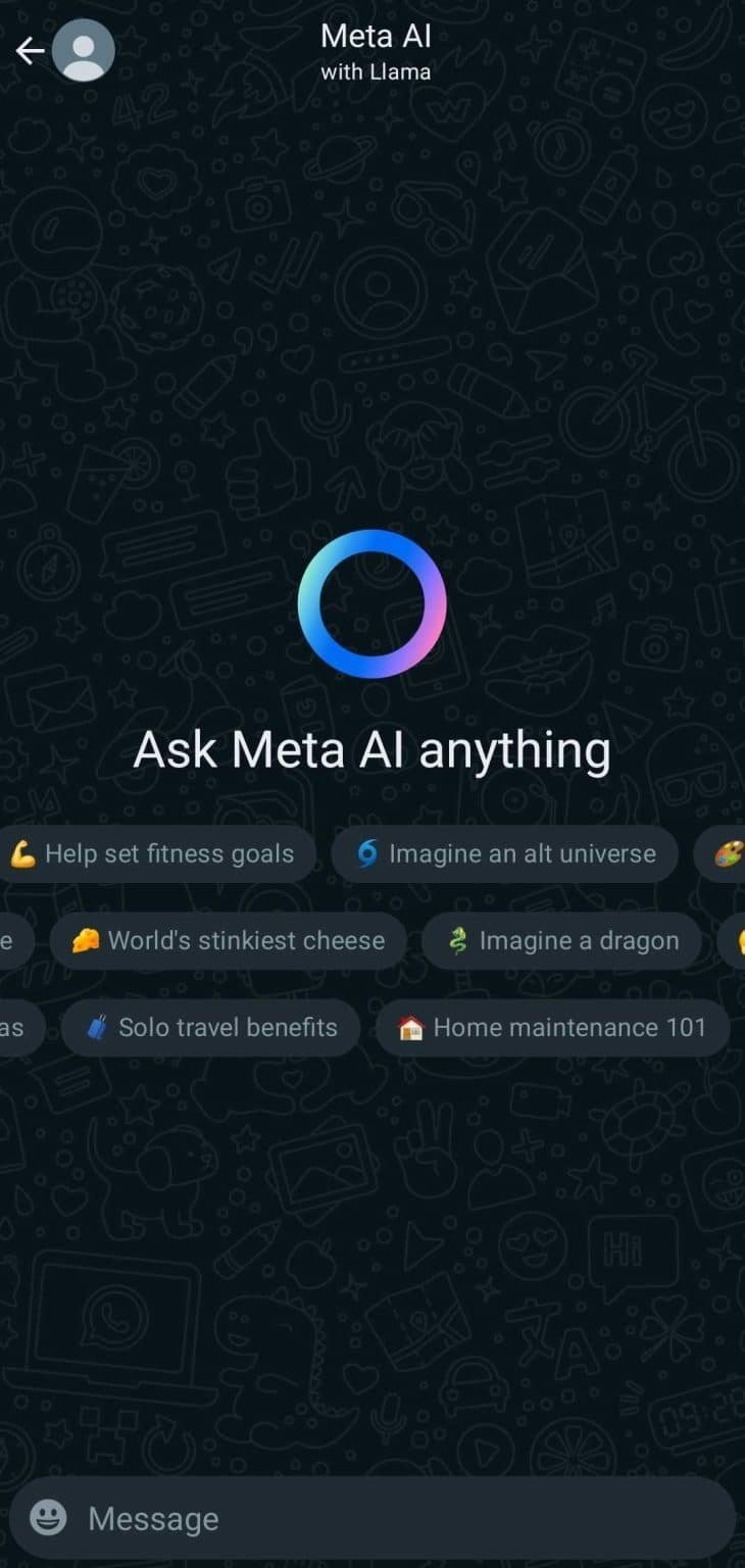 The Meta AI interface for WhatsApp. —META