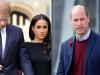 Palace used Harry, Meghan to divert attention from Prince William's affair