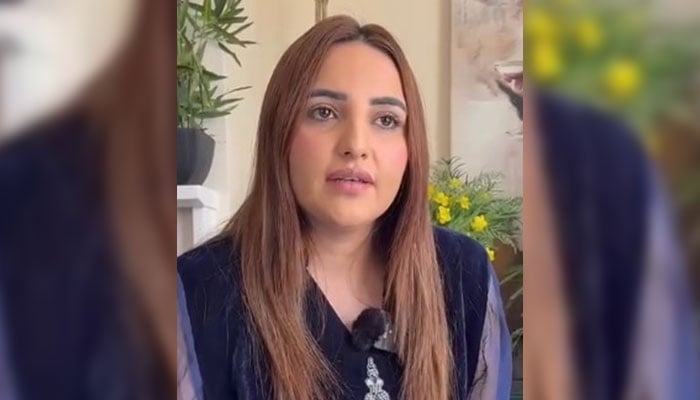 Social media personaity Hareem Shah speaks to Geo News in this still taken from a video. — Instagram/hareem.shah_official_account/File