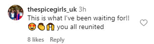 Spice Girls surprises fans with reunion at Victoria Beckhams Birthday Party