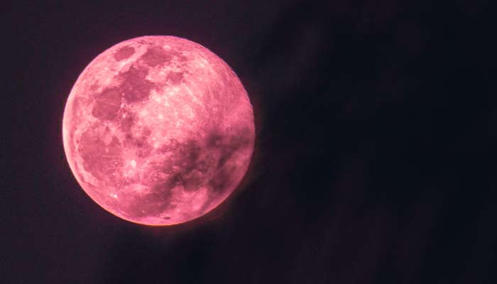 Pink Moon isnt supposed to appear pink in colour. — Unsplash