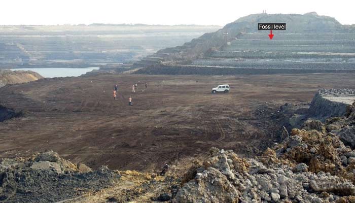 Scientists retrieve historic snake fossil from marshy swamp in India. — X/@iitrkee