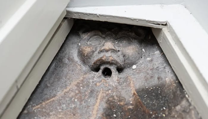 Couple finds grotesque structure under their bathroom. — New York Post via SWNS