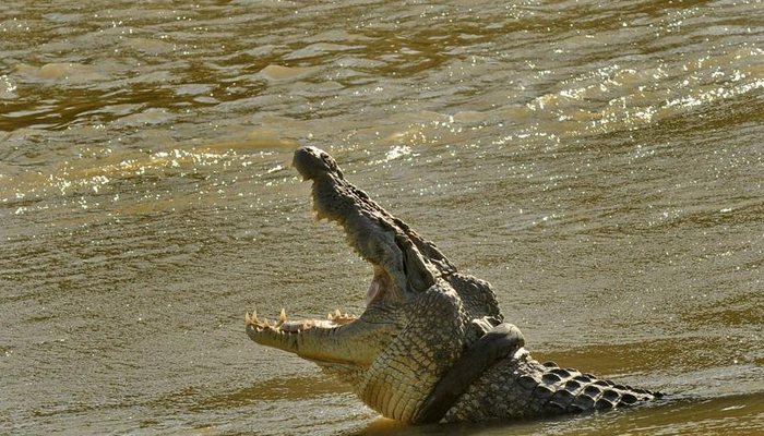 Older boy’s body was located in the mangroves. — X/reuterspictures