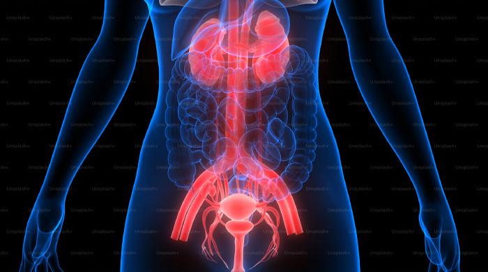 Uncovering what you need to know about colorectal cancer