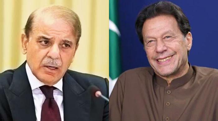PM Shehbaz urged to extend olive branch to imprisoned Imran Khan, restore ties with India
