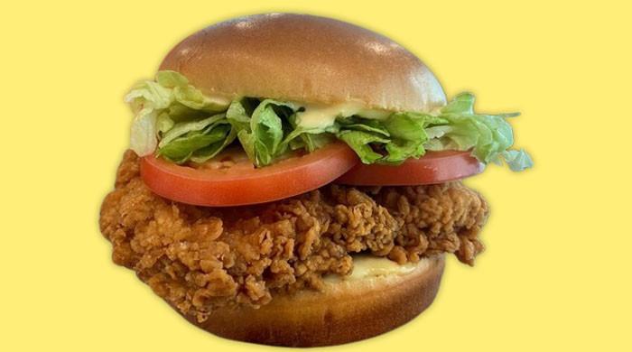 Former SSP's son killed his friend for eating girlfriend's zinger burger: police