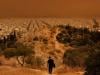 In pictures: Apocalyptic scenes in Athens as Sahara dust engulfs Greek city