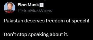 Screengrab. — X/@ElonMuskVines