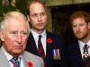 King Charles, Prince William plans to reconcile with Prince Harry revealed