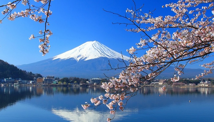 Fujikawaguchiko town building a wall of net to block the majestic view of Mount Fuji. — AFP/File