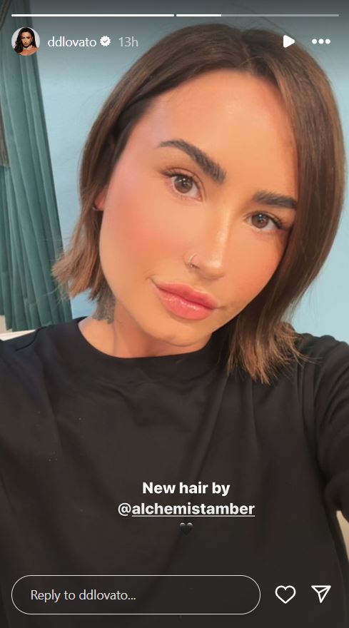 Source: Demi Lovato Instagram
