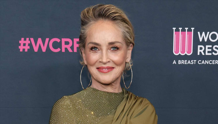 Sharon Stone voices mental health struggles, admits to confronting ‘demons’