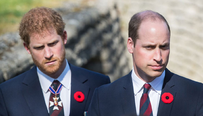 Prince William likely to reunite with Harry as Duke announces UK return