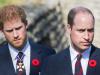 Prince William likely to reunite with Harry as Duke announces UK return