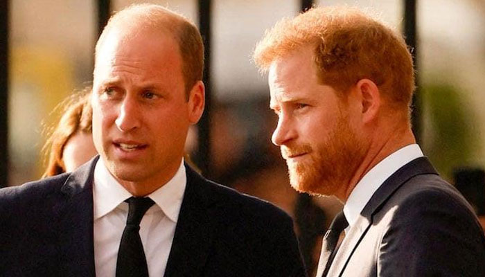 Prince William takes final decision about meeting Prince Harry during May visit 