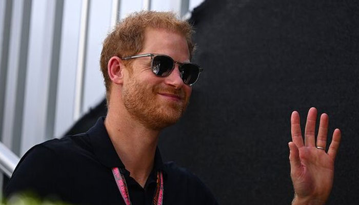 ‘Agitated' Prince Harry's micromanaging tendencies ridiculed