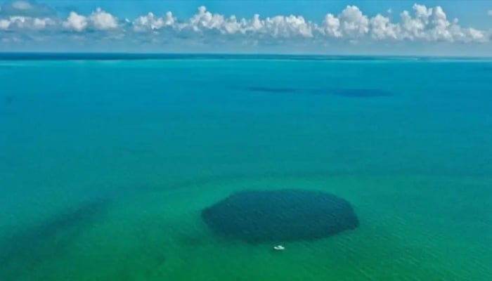 What to know about Taam Ja' Blue Hole, deepest in world?