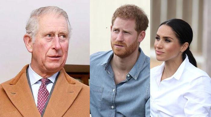 King Charles reminded Prince Harry, Meghan need to be exposed for bullying - Vimarsana News