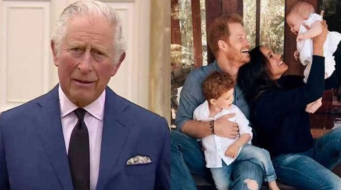 Meghan Markle, Prince Harry kids would 'hate missing from family photos' - Vimarsana News