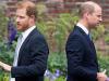 Prince William green with envy as Prince Harry returns to UK