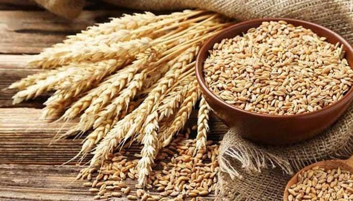 Extra wheat import caused over Rs300bn loss, food ministry tells PM
