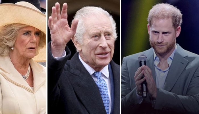King Charles to snub ‘concerned' Camilla in attempts to meet Prince Harry?