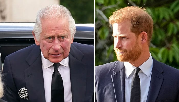 King Charles not available to offer ‘warm reception' to Prince Harry