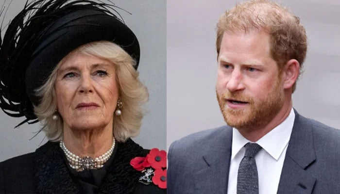 Queen Camilla to give Prince Harry cold shoulder during his UK visit