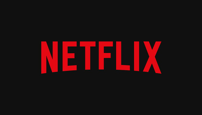 US official offers to help Pakistani content feature on Netflix