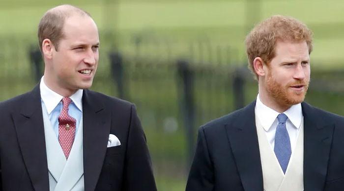 Prince William's frustration grows as Prince Harry garners more attention - Vimarsana News