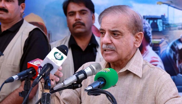 'Will put everything before nation': PM Shehbaz on wheat import scandal