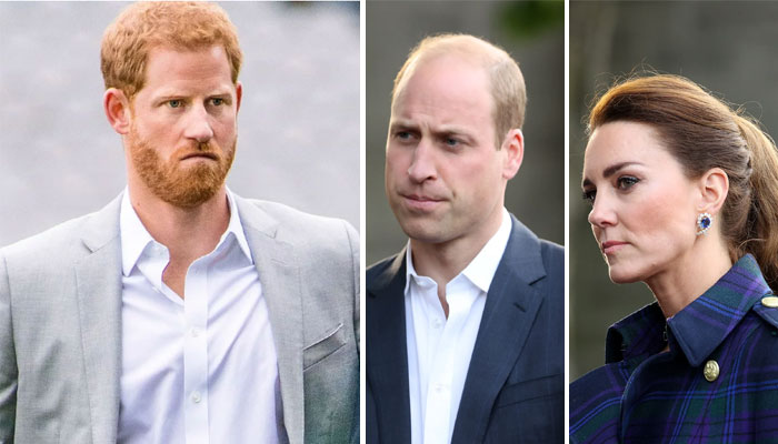 Royal Family ‘cutting off nose' over Prince Harry's Invictus Games