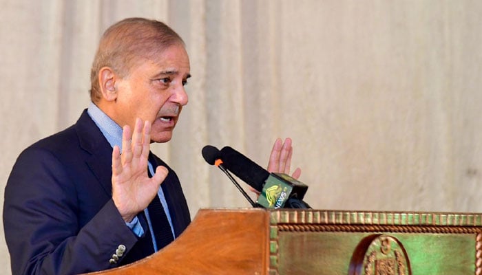 PM Shehbaz vows blanket support to Saudi investment in Pakistan