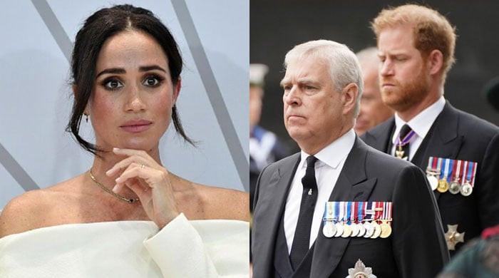 ‘Grieving’ Meghan Markle wants Prince Andrew to be ‘ostracised’