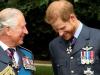 Prince Harry receives sad news ahead of King Charles meeting upon UK return