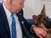Pet-killer Kristi Noem has a suggestion for Joe Biden's dog Commander