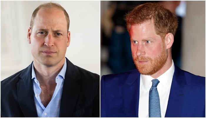 Prince Harry told his ‘grievance' is smaller than Prince William crisis 