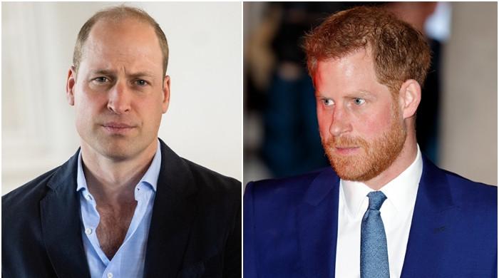 Prince Harry told his ‘grievance' is smaller than Prince William crisis